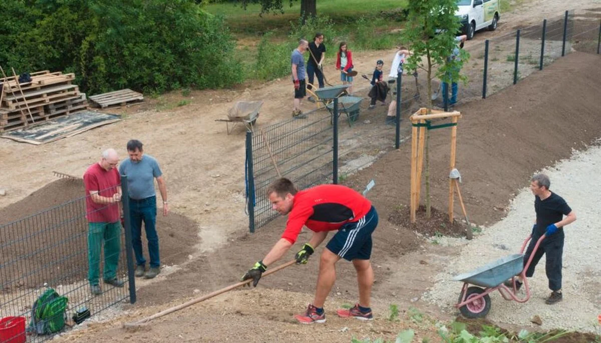 © Harald Wenzel-Orf