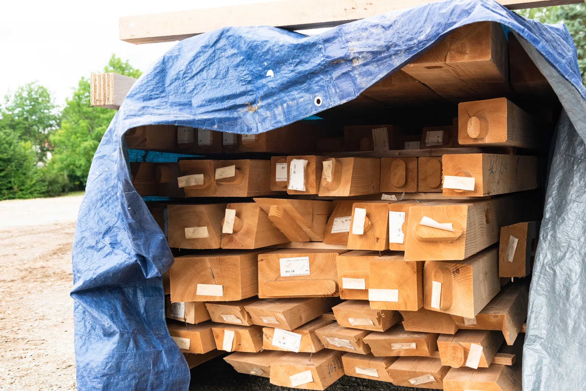 © DAV Weimar/Tobias Adam