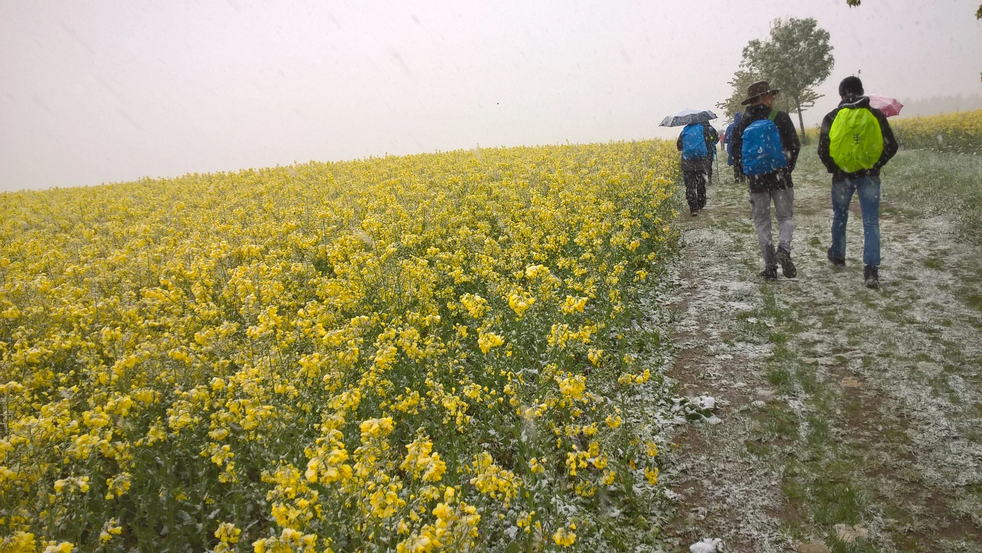 © Reinhard Lilienthal