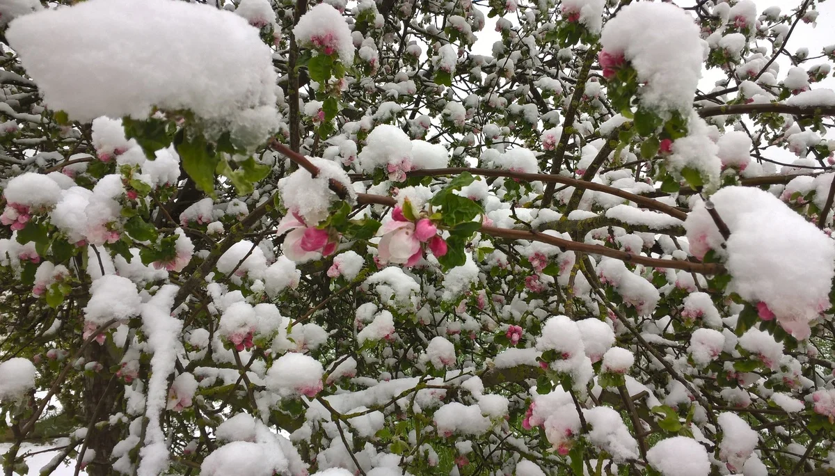 © Reinhard Lilienthal