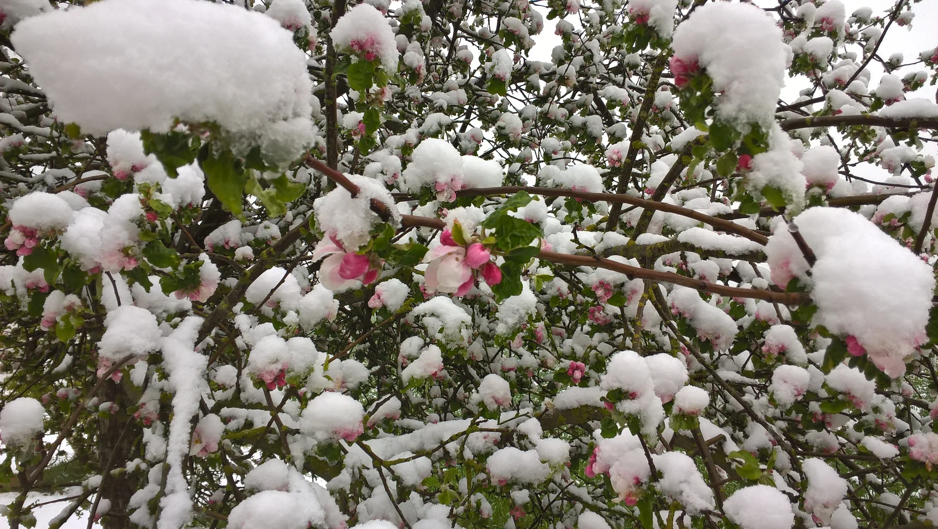 © Reinhard Lilienthal