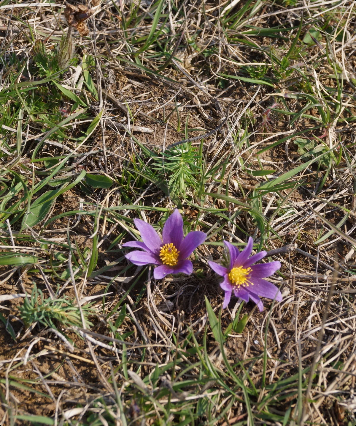 © Reinhard Lillienthal