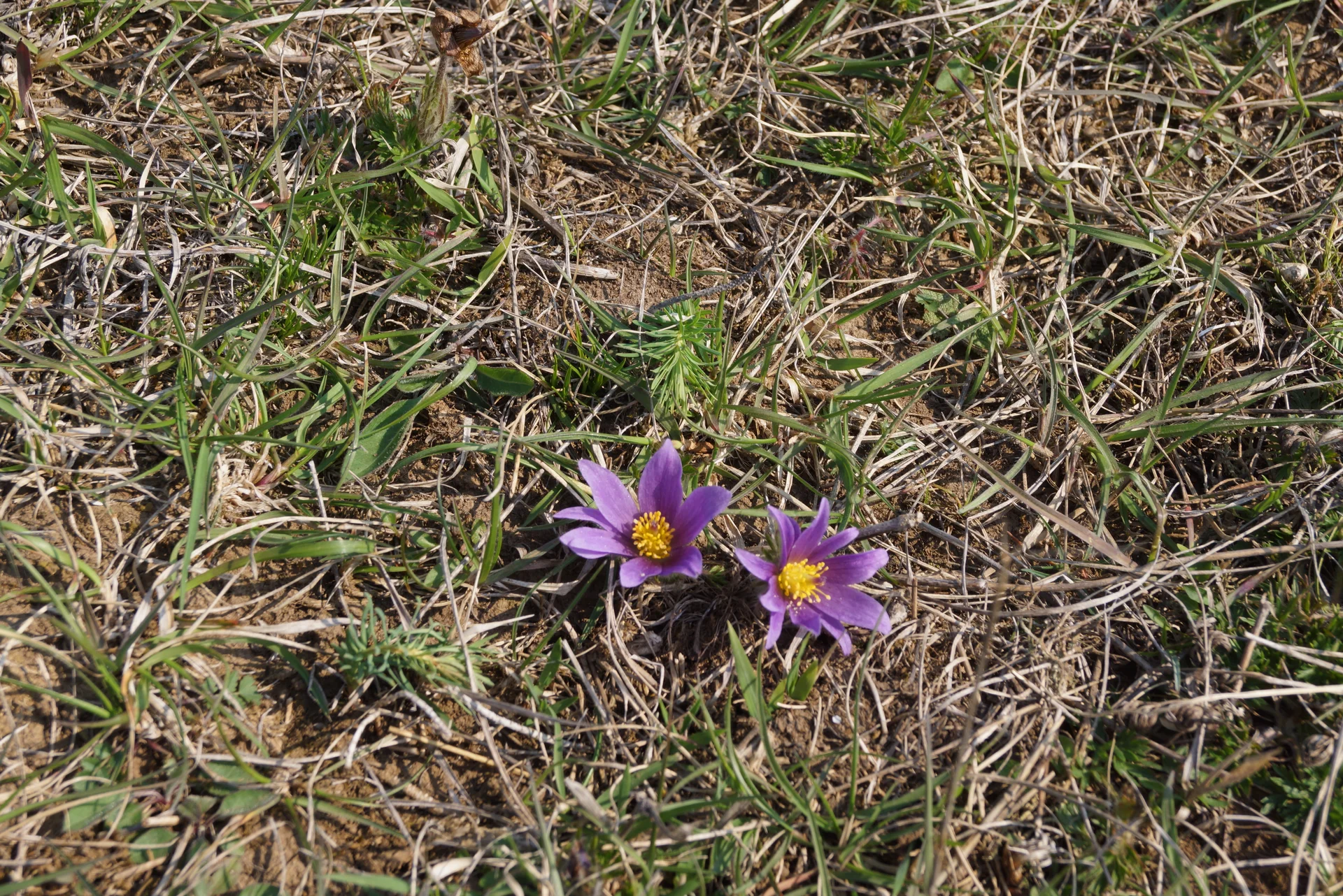 © Reinhard Lillienthal