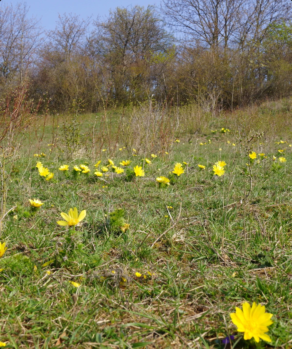 © Reinhard Lilienthal