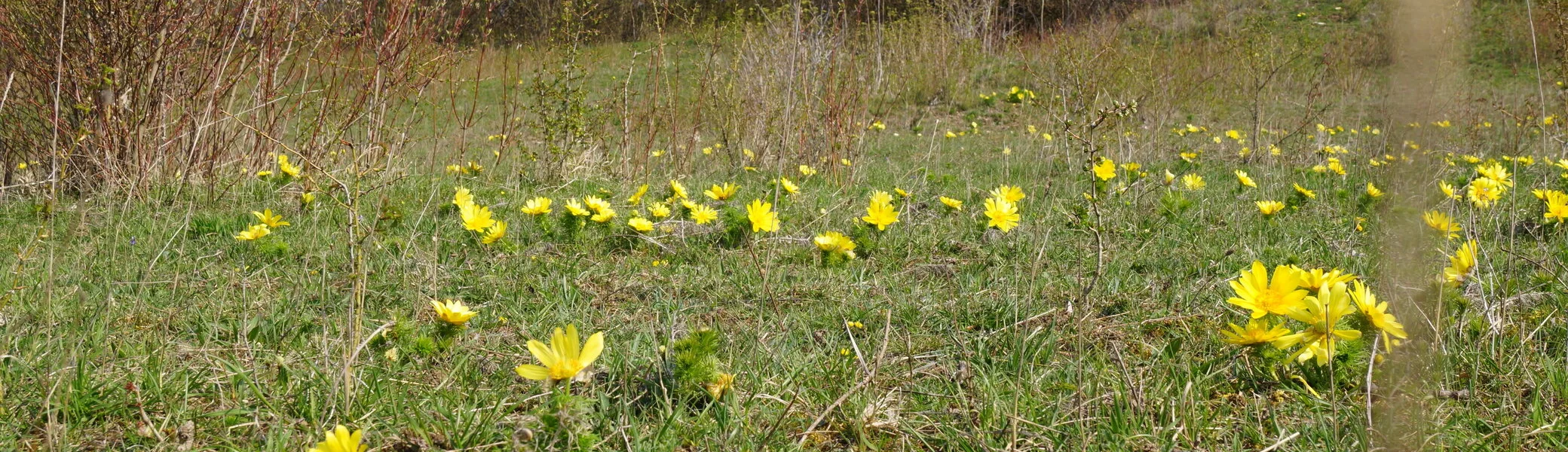 © Reinhard Lilienthal