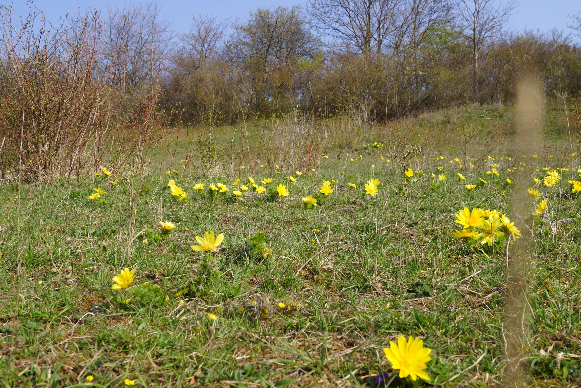 © Reinhard Lilienthal