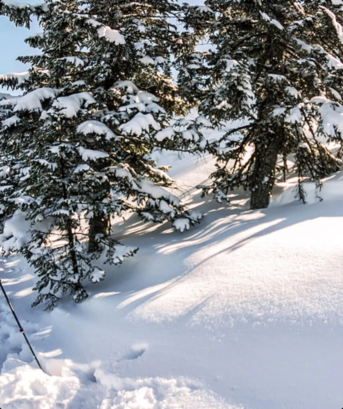 Haus Sonnblickbasis | © sonnenblickbasis.at