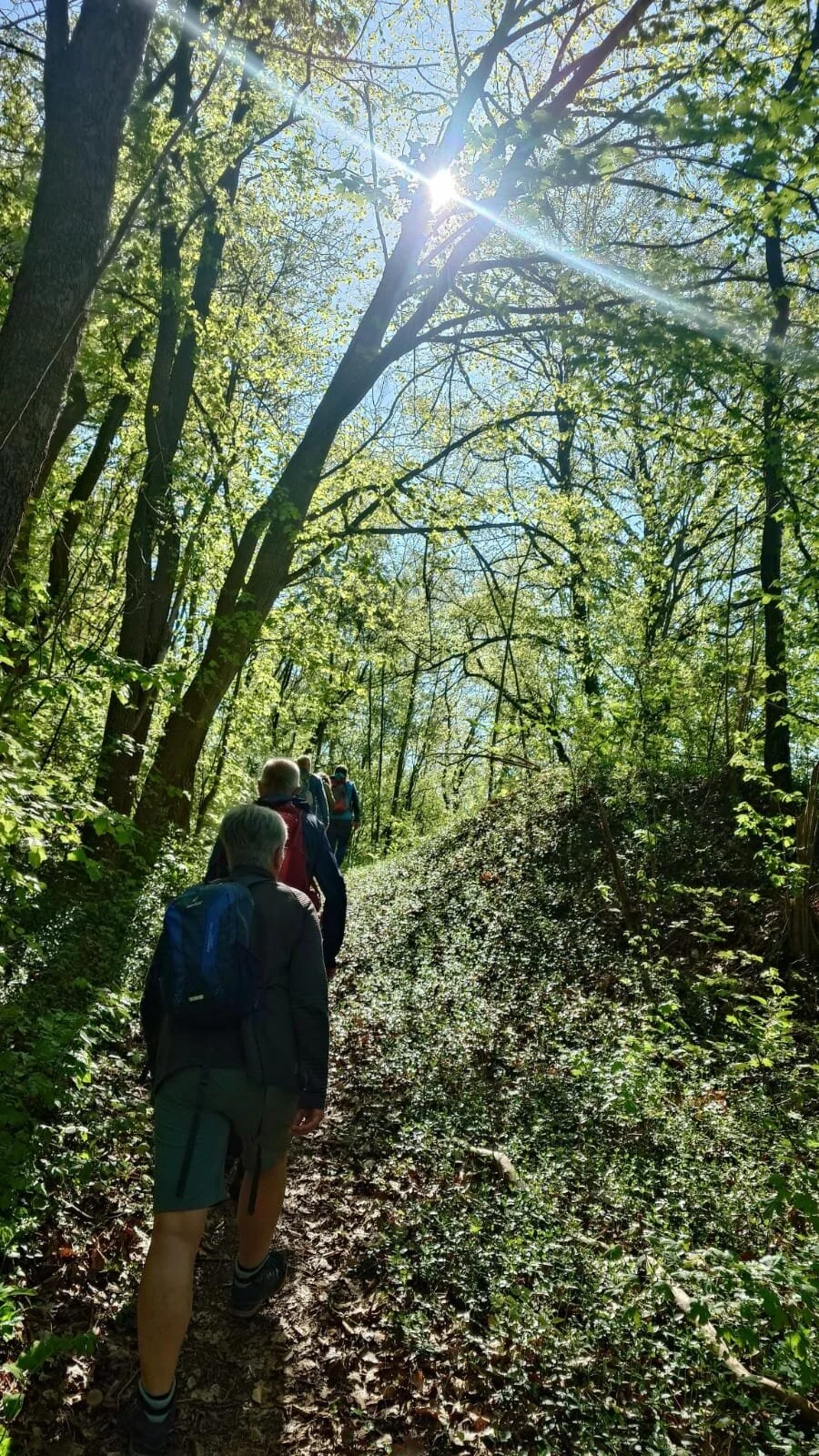 © DAV Weimar/Thomas Rietel