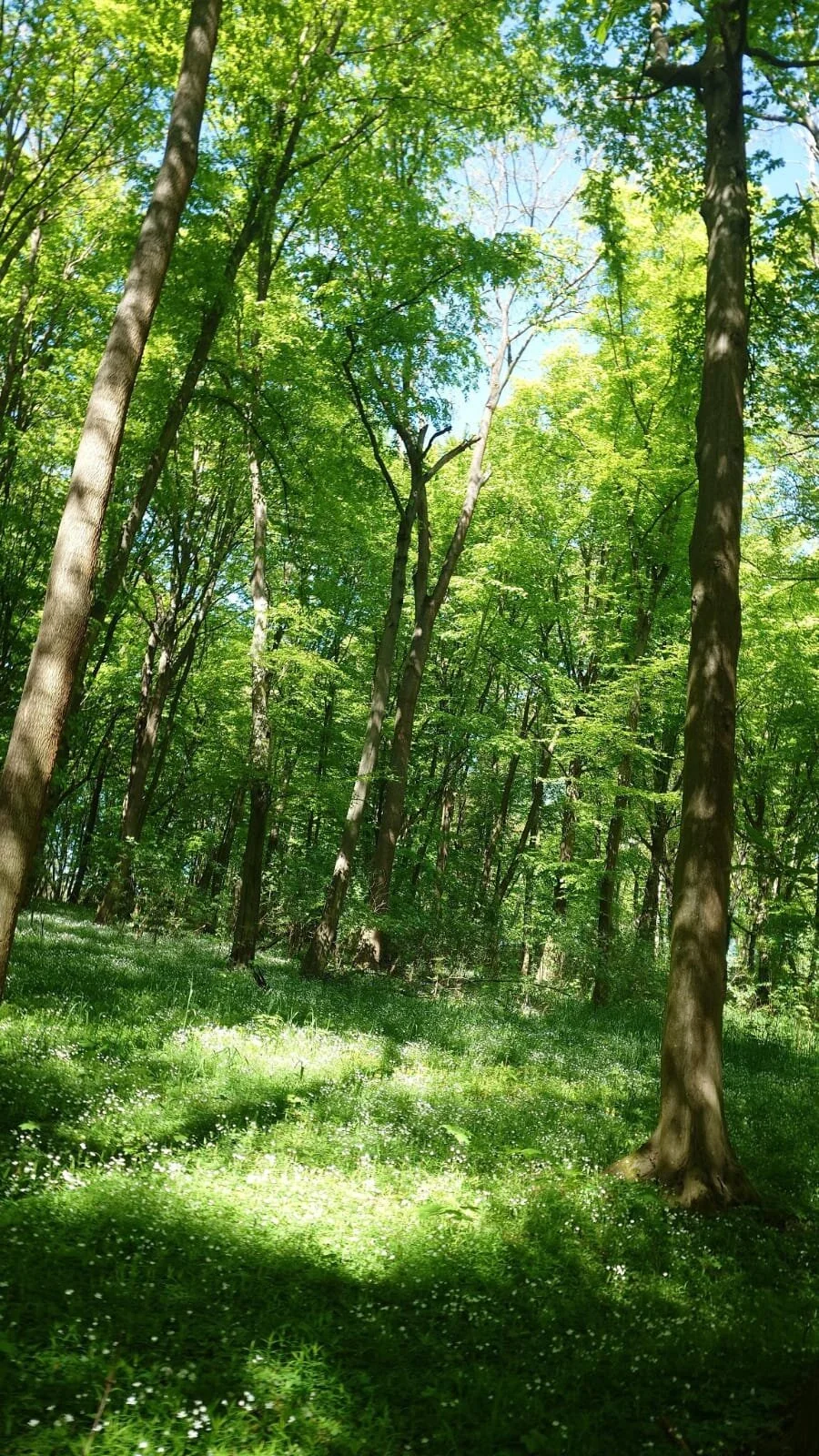 © DAV Weimar/Thomas Rietel