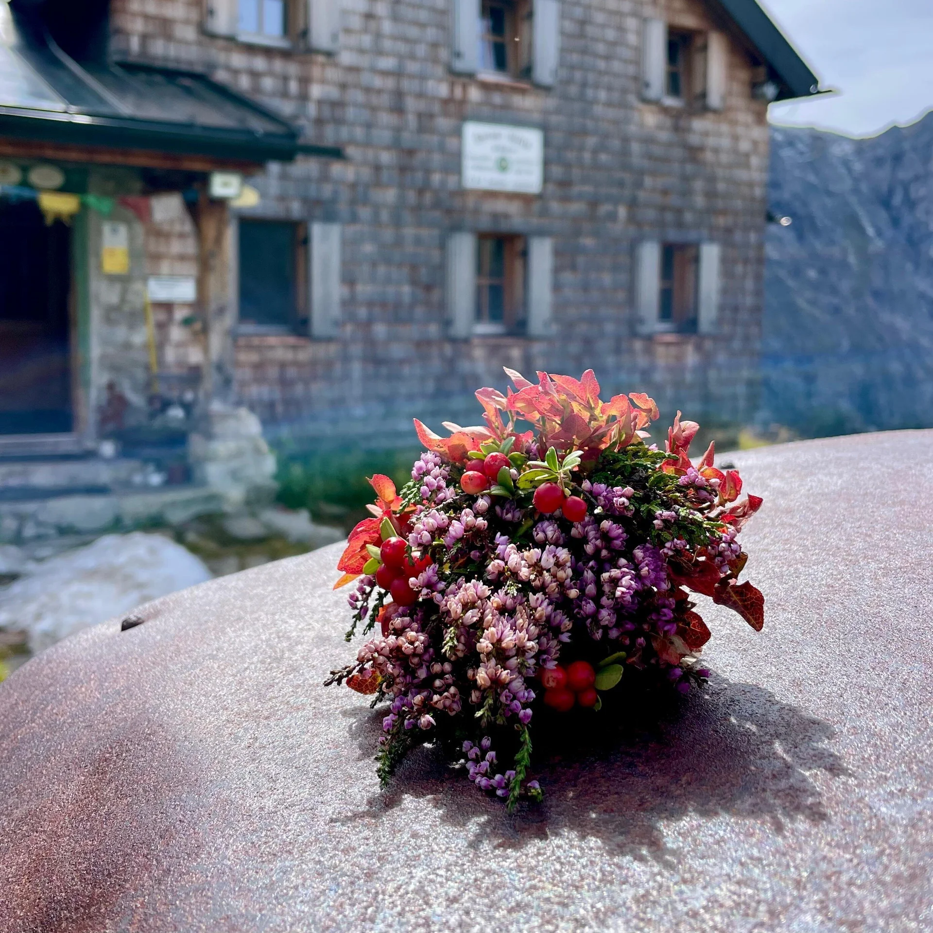 © Frank Schwuntek