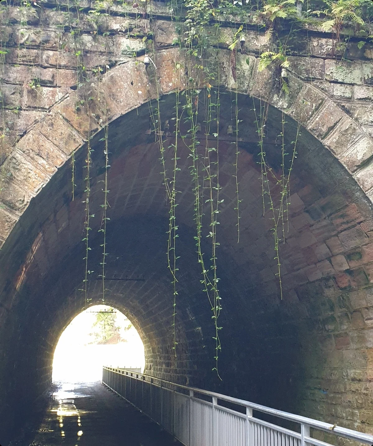 © Reinhard Lilienthal