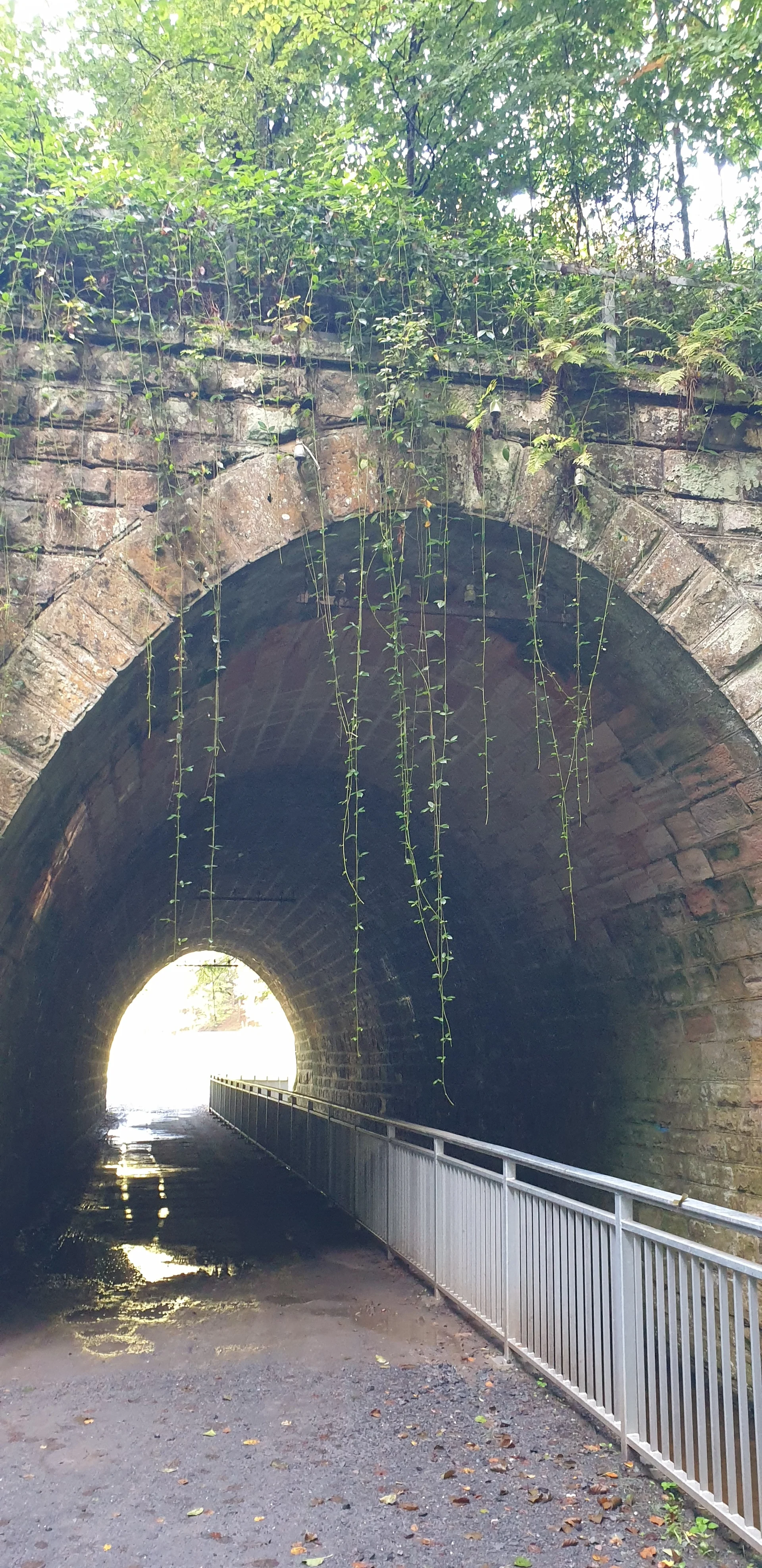 © Reinhard Lilienthal