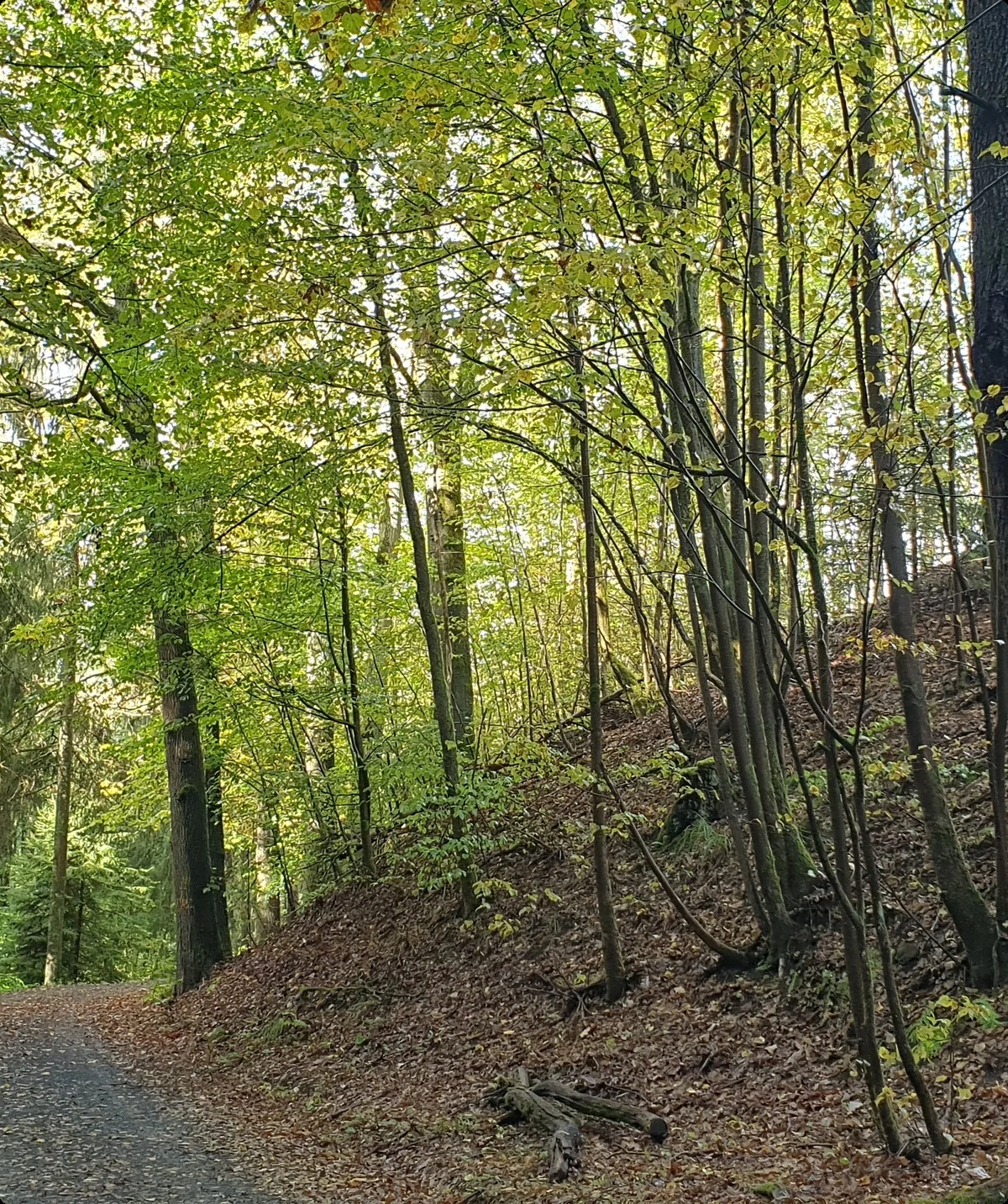 © Reinhard Lilienthal