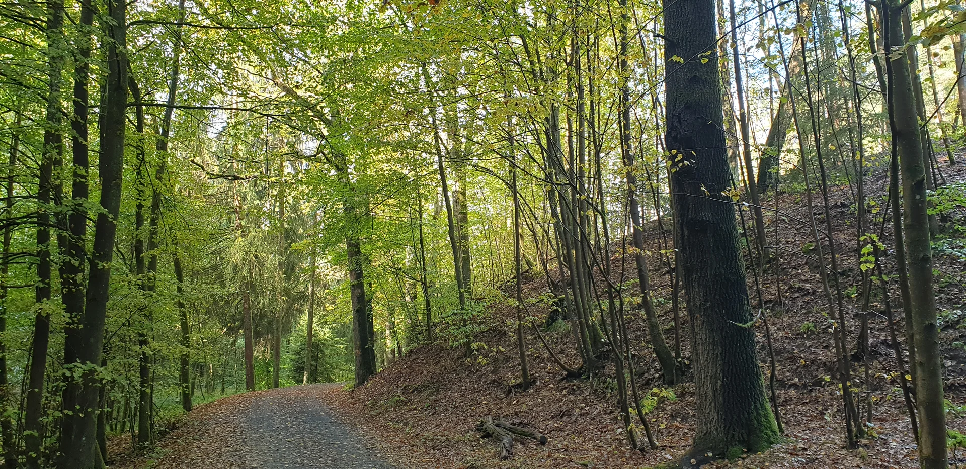 © Reinhard Lilienthal