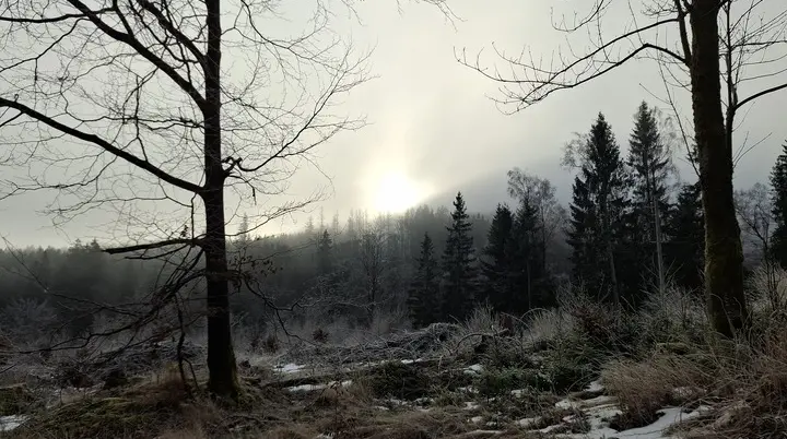 © DAV Weimar/Reinhard Lilienthal