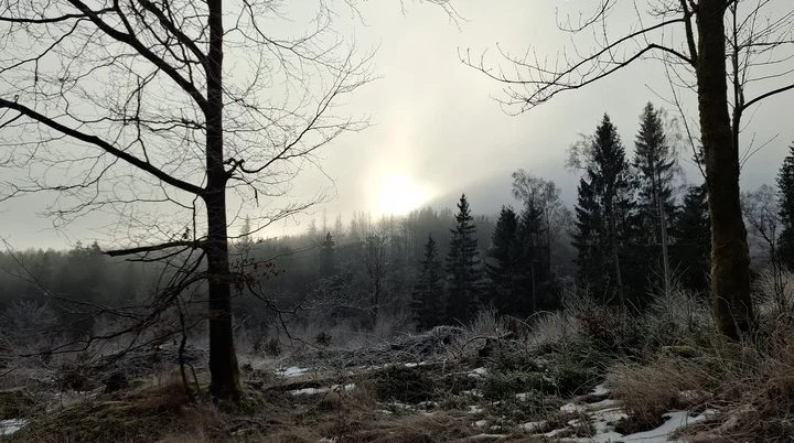 © DAV Weimar/Reinhard Lilienthal