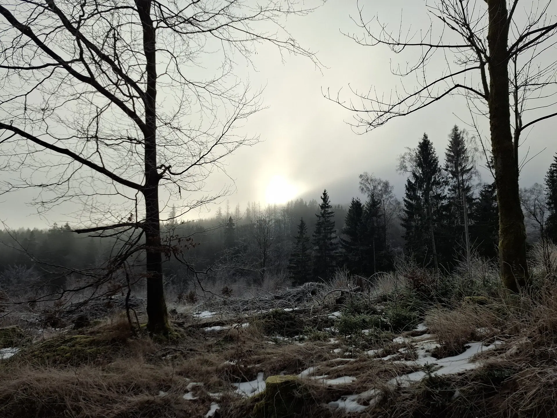 © DAV Weimar/Reinhard Lilienthal